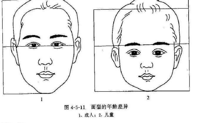 幼态脸不止是形容某一个五官,而是对整个面部比例都有要求