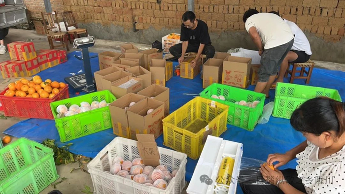 【美丽德宏 团结奋进】陇川:直播带货助力农产品"飞"出乡村