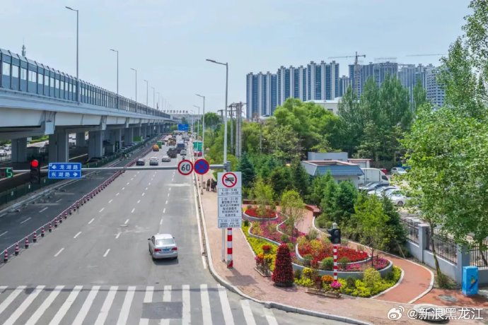 今年以来,哈尔滨市道里区聚焦群众所盼所急