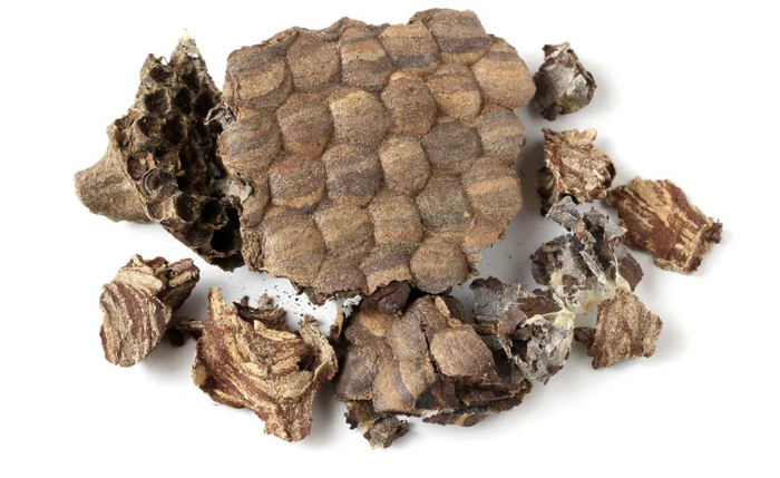 有临床资料显示,蜂房水煎用量9~15g时,无明显的毒性作用;剂量用至49g