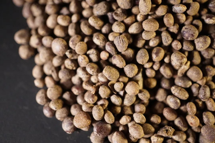 抗食管癌的10种中药,分享给您,建议收藏!