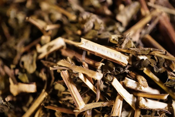 抗食管癌的10种中药,分享给您,建议收藏!