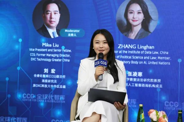 在专题研讨中,中国政法大学数据法治研究院教授,联合国高级别人工智能