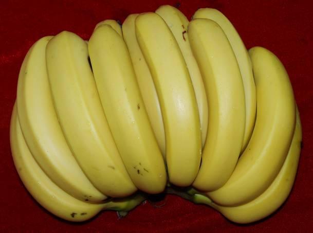 三,粉蕉粉蕉又称米蕉,奶蕉,给人一种矮胖的感觉,果柄短,果身近圆形