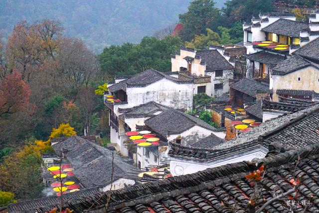 "最美徽州古村"不在安徽,在江西?门票135的婺源篁岭值不值?