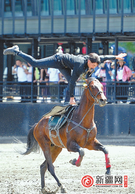 5月19日，在新疆古生态园·汗血宝马基地，骑手正在展示马术表演。（全媒体记者迪丽娜尔·加力肯 雷婷摄）