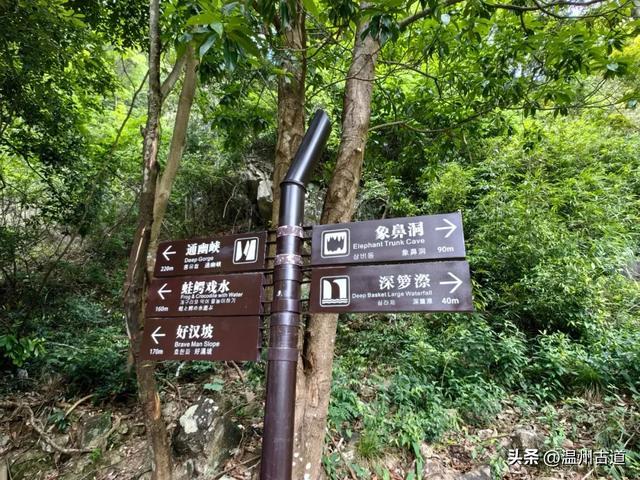 泽雅七瀑涧景区路线图片