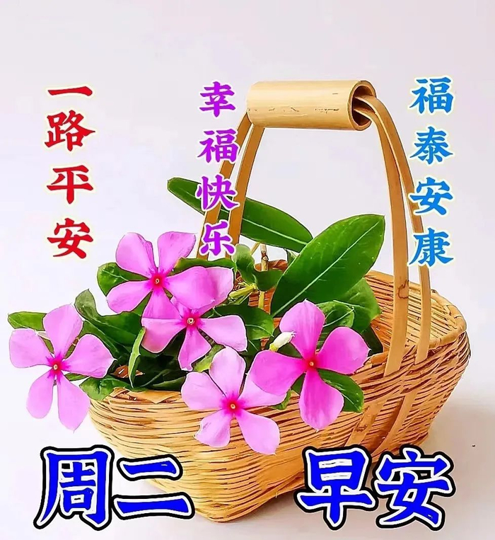 今日精选早安问候祝福图片带字