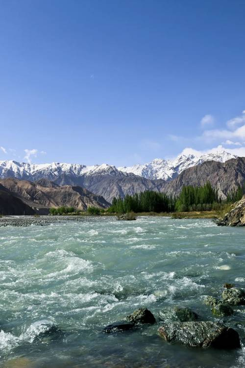新疆不能没有塔里木河!