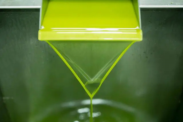 在祥宇油橄榄公司生产线上，初榨橄榄油正在流出。新华社记者 郎兵兵摄