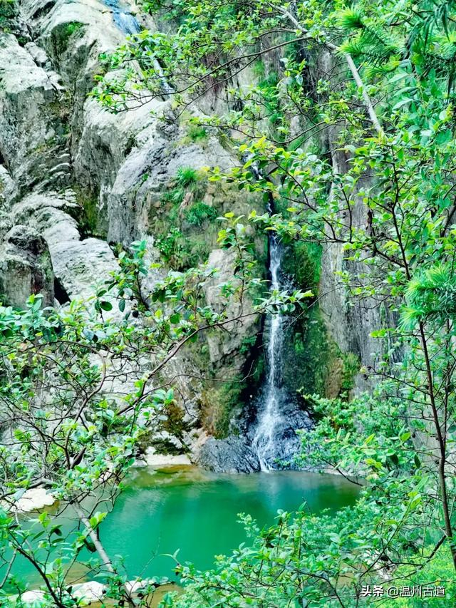 山野秘境,清凉一"夏"!夏日消暑想要的那抹绿,就在浙南小庐山