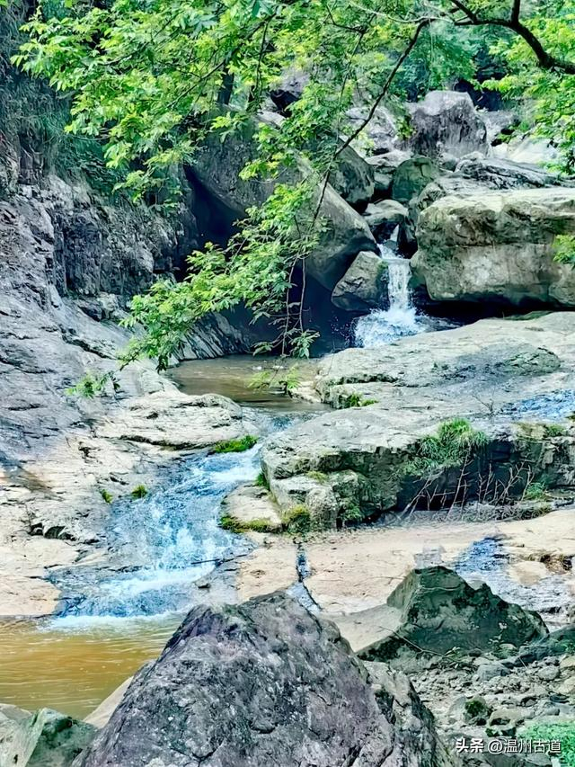 山野秘境,清凉一"夏"!夏日消暑想要的那抹绿,就在浙南小庐山
