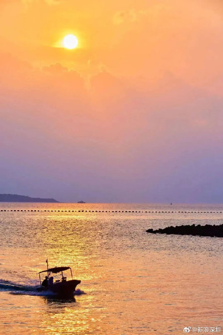 唯一!0969♀15深圳海上龙舟赛氛围拉满了