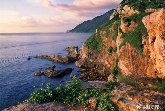 唯一!0969♀15深圳海上龙舟赛氛围拉满了