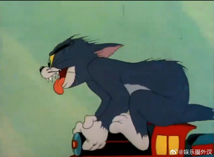 《花儿与少年好友记》骑游艇 胡先煦撞脸汤姆猫 要不先回头看看你蕾姐