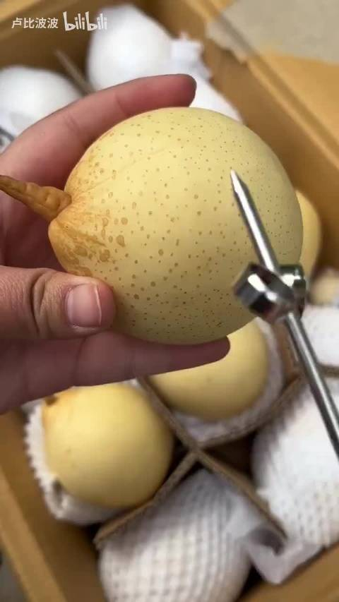 河北出产的大鸭梨,口感脆甜多汁,果皮薄肉质细腻