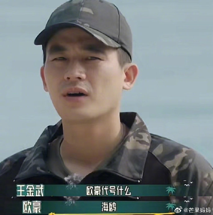 本来以为欧豪代号海鸥是海清的海,欧豪的欧够搞笑了