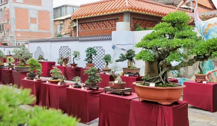 泉州市第五届盆景展