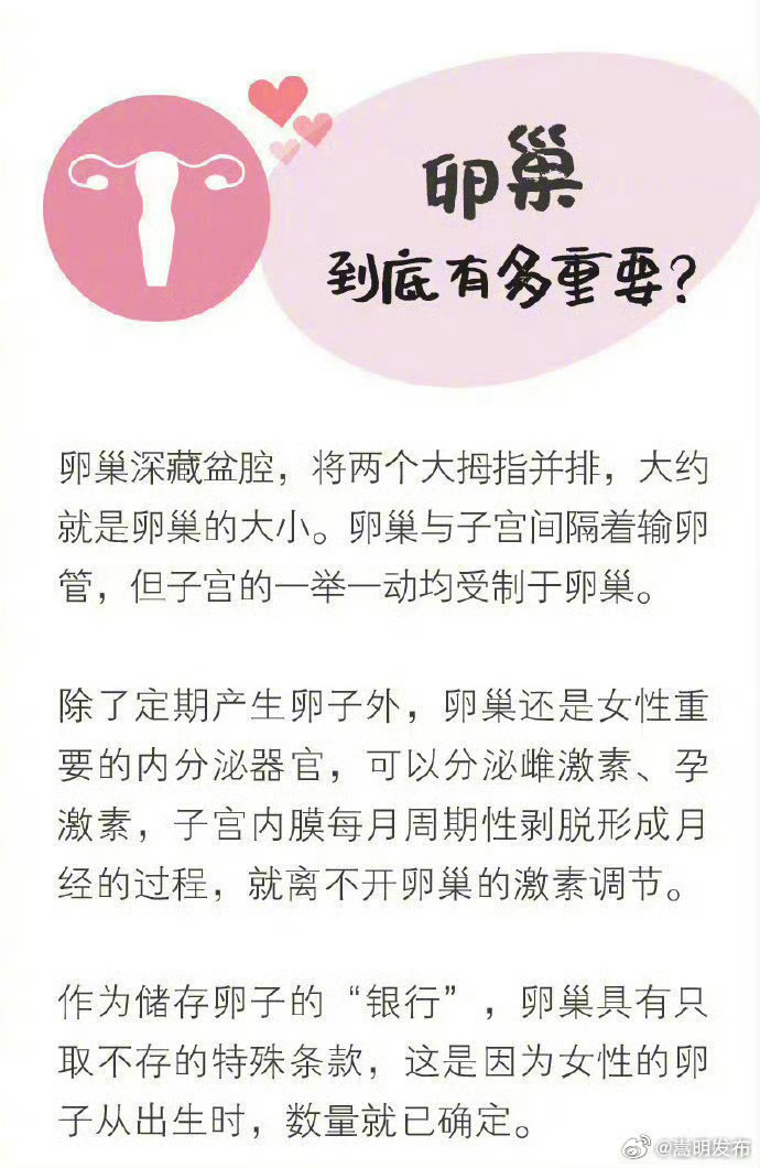 6个习惯让卵巢早衰