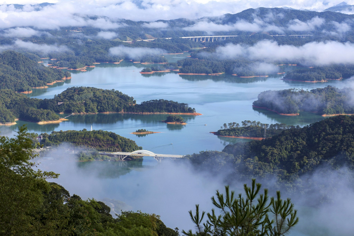 广东:促进城乡生态环境保护整体提升 让"面子"更靓 让"里子"