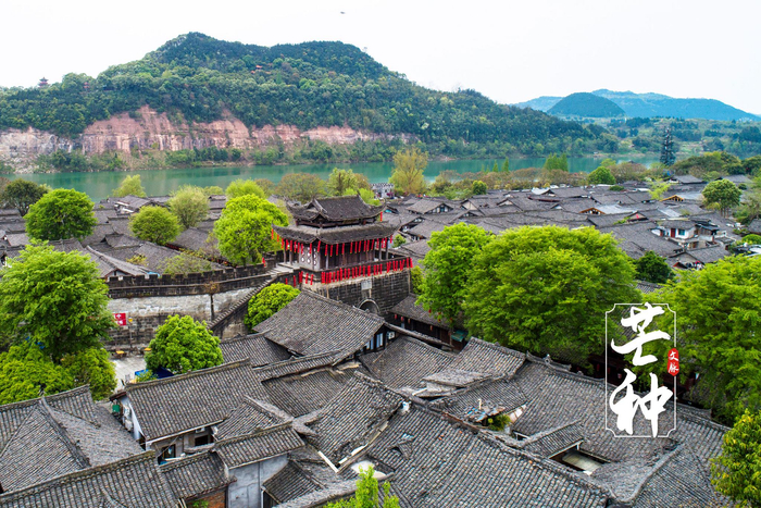 文脉·芒种|阆中青瓦吐新翠,嘉陵江上舞龙舟