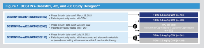 图1. DB01、02、03研究设计