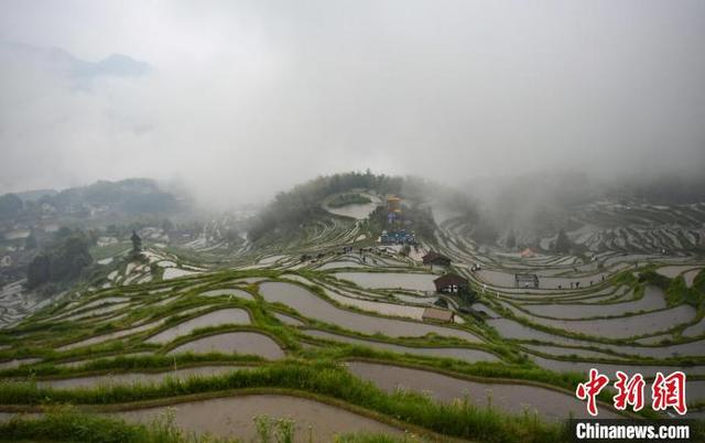 二十四节气芒种日 浙江丽水云和梯田"开犁"|梯田|浙江省|丽水市_新浪