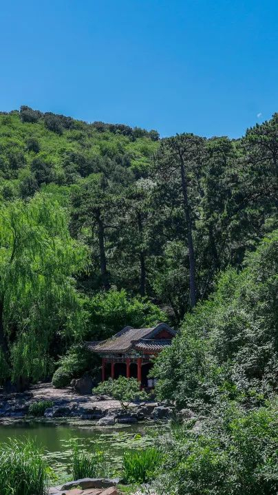 带您走过香山公园里的二十四节气|芒种