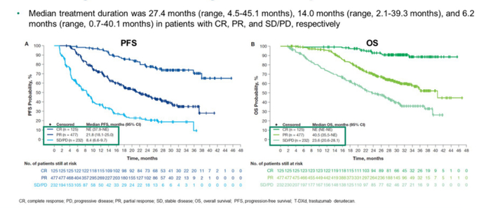 图3. T-DXd最佳确认缓解的疗效结果