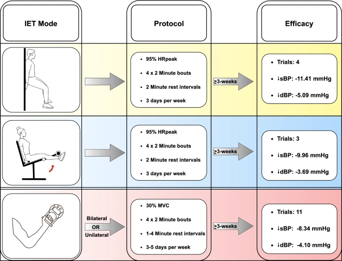 不同等长运动训练对血压影响。图源：《等长运动训练与动脉高压：最新综述》