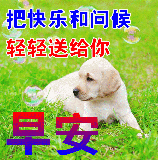 2024年6月5日最新早上好祝福语图片大全 今日精选早安问候祝福图片带