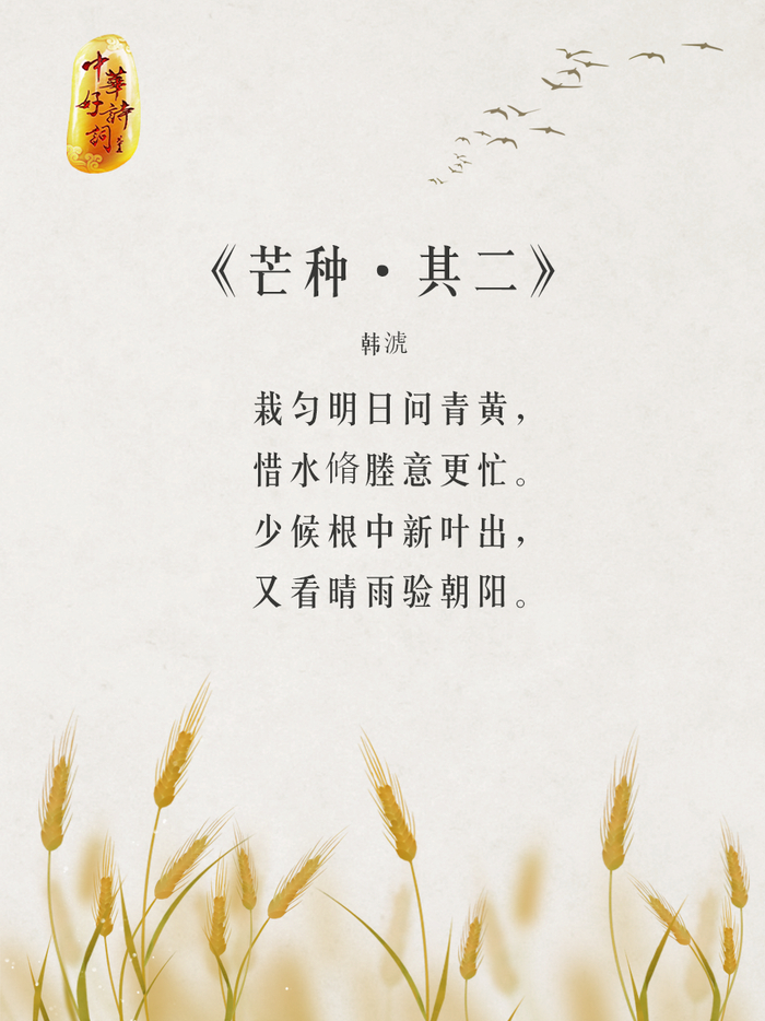 你还知道哪些关于芒种的诗词