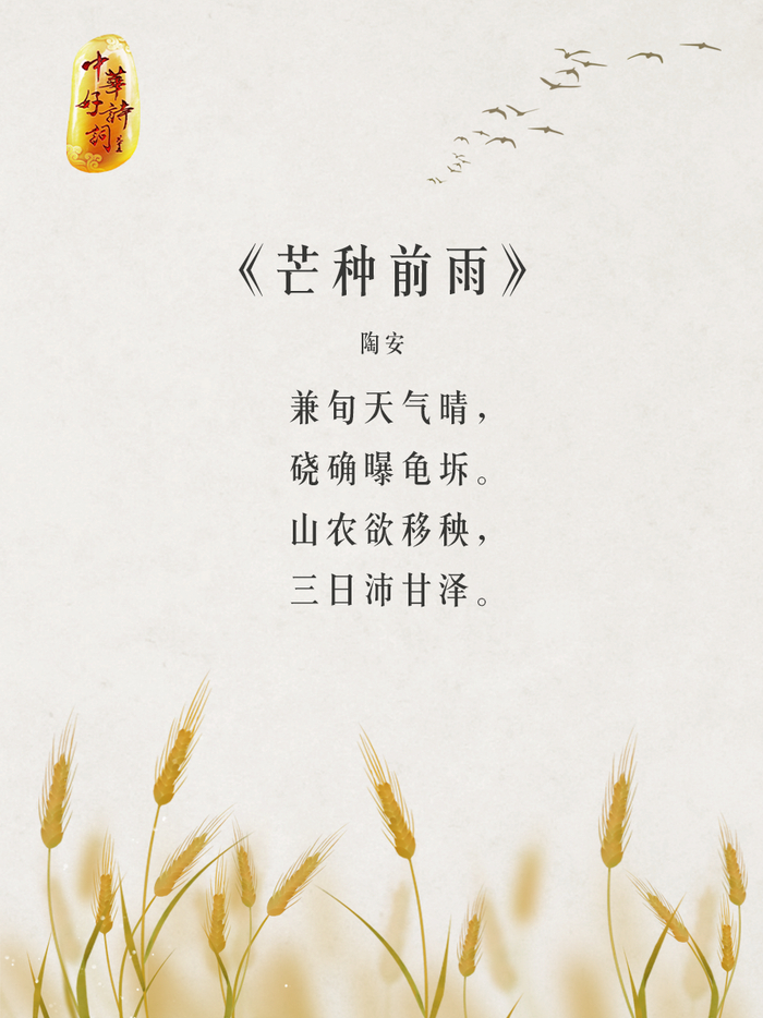 你还知道哪些关于芒种的诗词