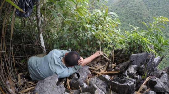 隐秘穿山甲被"看见"的6年,一部技术"穿山"史