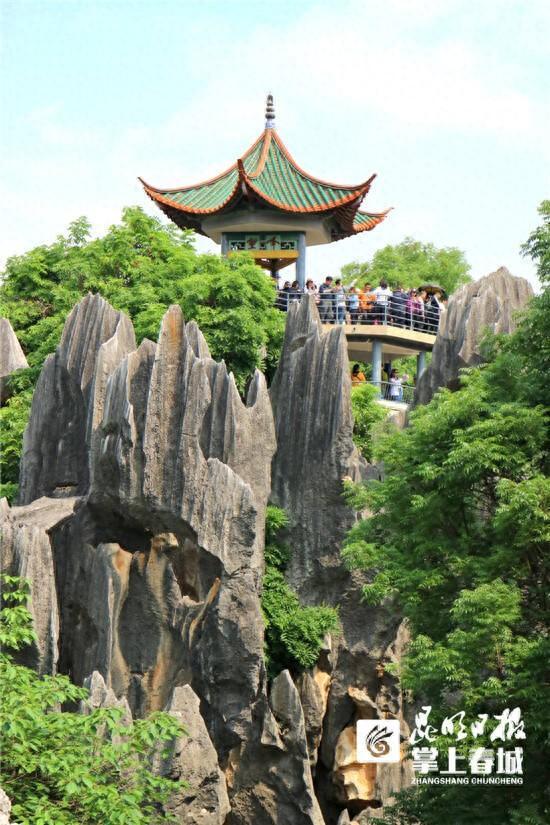 高考生,6月至8月可免费游云南石林