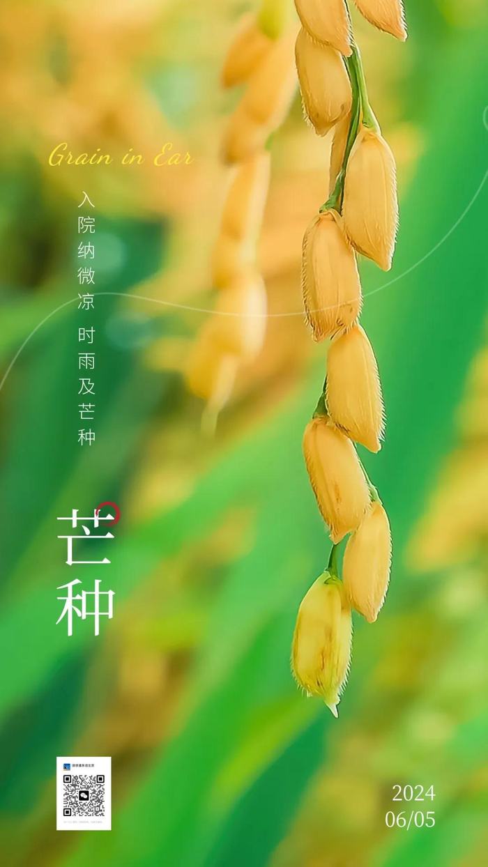 仲夏始登场!北京这些景点竟都和芒种节气相关