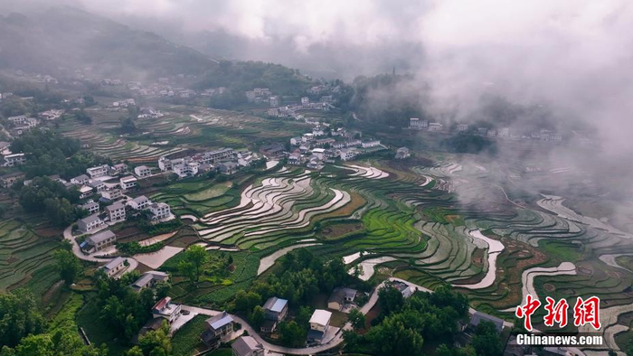 芒种时节 深藏秦巴山区的凤堰梯田绿意浓