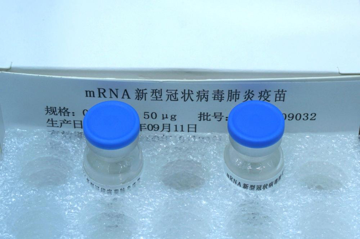 图片来源：IC photo