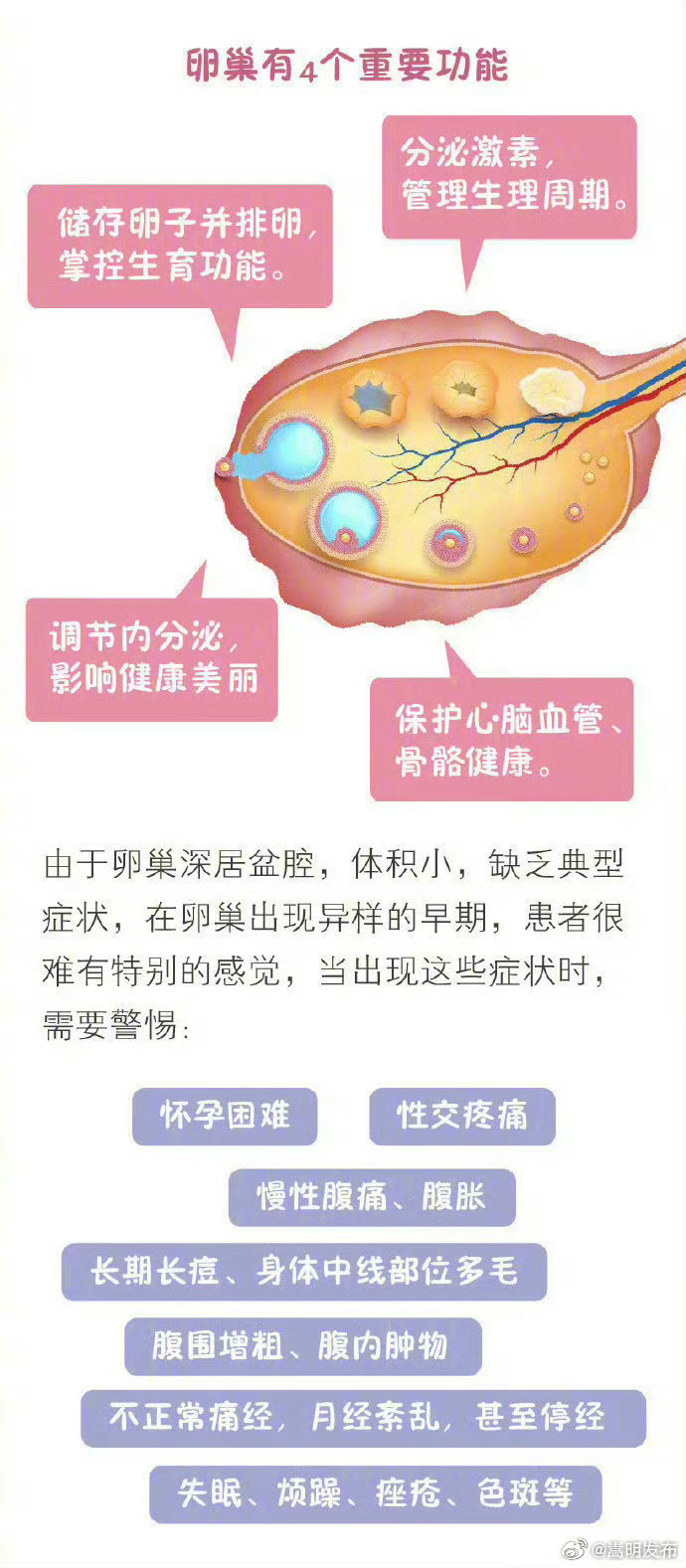 6个习惯让卵巢早衰