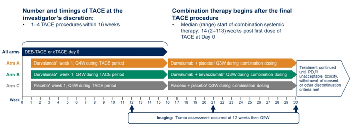 图2 研究设计用药方案（图片源自2024 ASCO-GI）