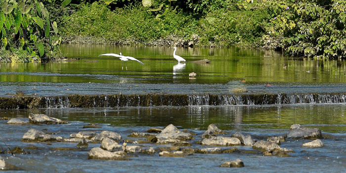广东:促进城乡生态环境保护整体提升 让"面子"更靓 让"里子"