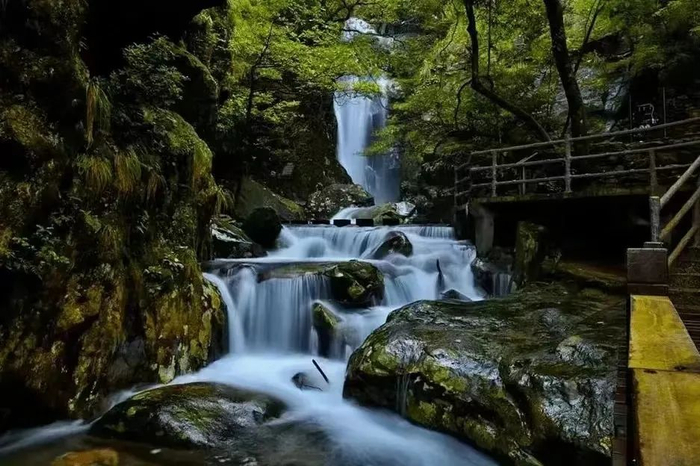 靖安县,一个位于宜春市的江西小城,偏安一隅而又诗意浪漫,森林覆盖率