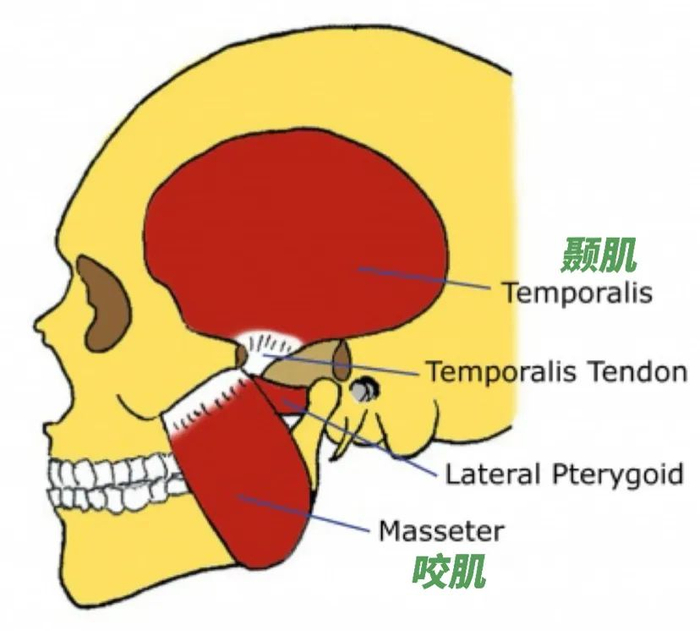 这个无意识的小动作,其实是过度疲劳的信号,快来自查一下