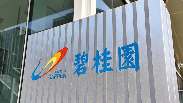 碧桂园:今年前5个月销售216.5亿元,拟出售长鑫存储股份