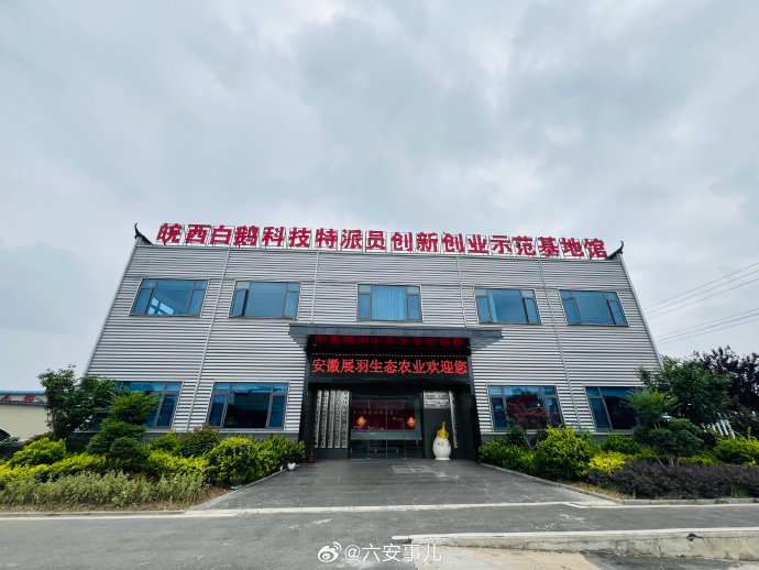 皖西白鹅是中国优良的中型鹅品种之一