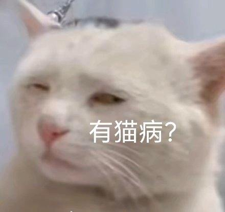 表情包来了 再也不会生产阳光了 hello