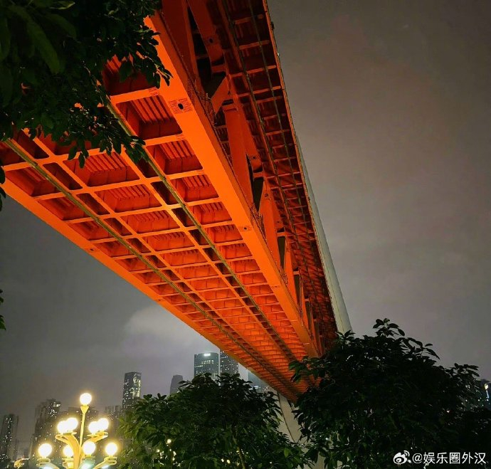 肖战拍的夜晚的重庆,是回老家幸福的男人一枚 p9笑死了,疯狂吸猫