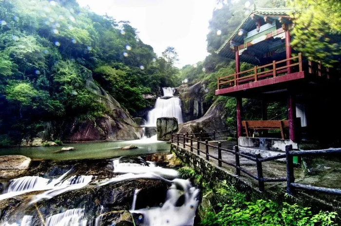 夏天必不可少的目的地了三爪仑景区总面积193平方公里森林覆盖率95