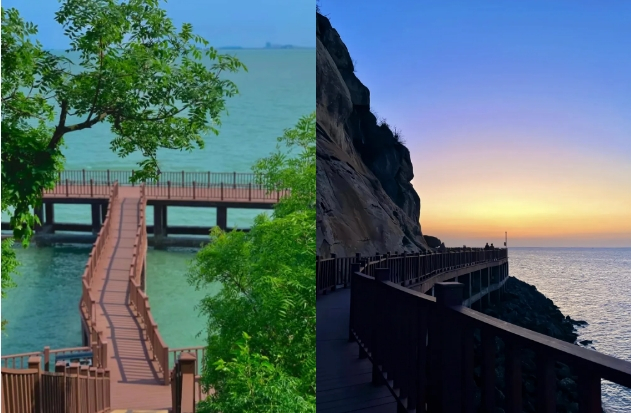 30,10:30,14:00,17:00,19:00羊山岛(高公岛站):9:30,11:30,15:00,18