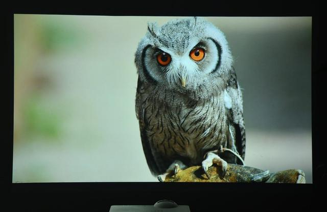 某品牌的投影机的效果实拍图